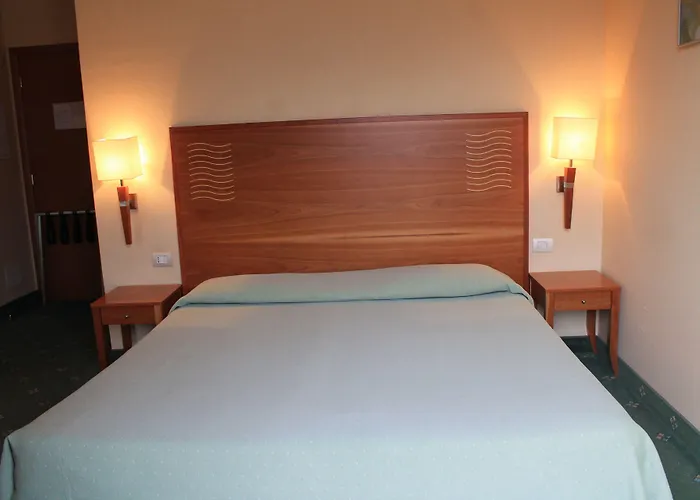 酒店 Plinius Lifestyle 4*